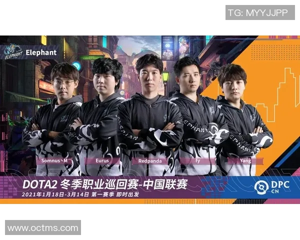 dota2 职业比赛-DOTA2职业比赛的魅力与激情四溢-dota2 职业比赛